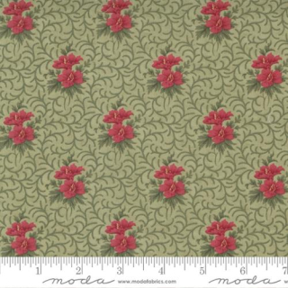 Poinsettia Plaza Sage 